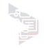 icon_1 icon_1